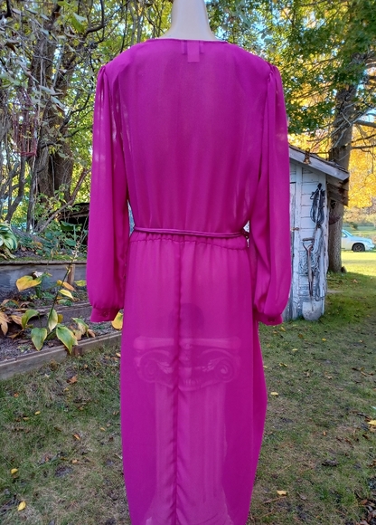 Vintage sheer dress - Picture 5 of 9